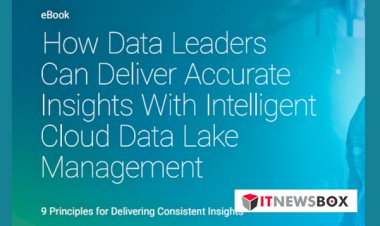 How Data Leaders Can Deliver Accurate Insights With Intelligent Cloud Data Lake Management