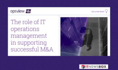 The Role Of It Operations Management In Supporting Successful M&A