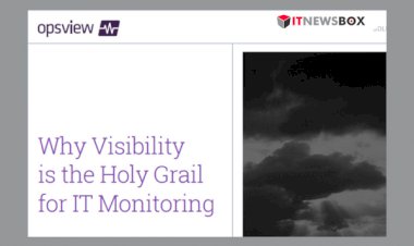 Why Visibility Is The Holy Grail For It Monitoring.