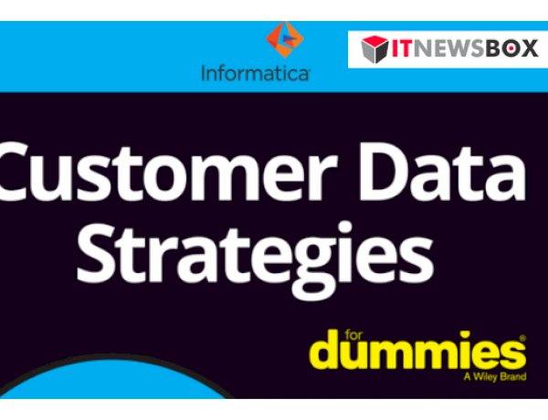 Customer Data Strategies For Dummies
